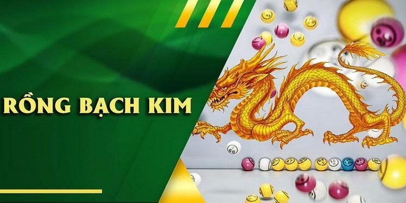 Giới thiệu rồng bạch kim, phương pháp dự đoán được nhiều chuyên gia tin dùng