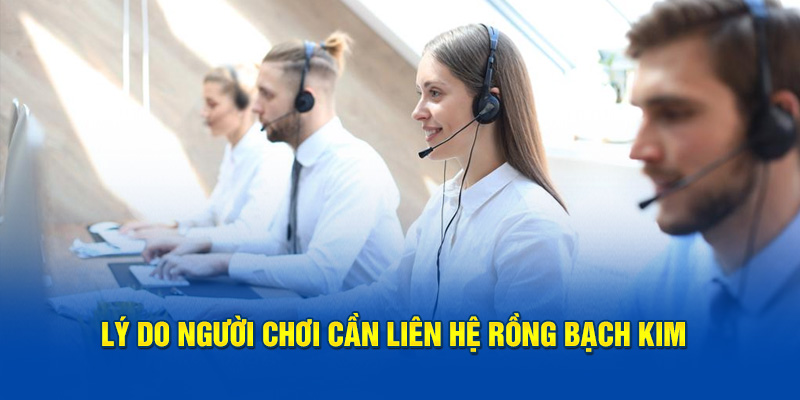 Lý do người chơi cần liên hệ rồng bạch kim