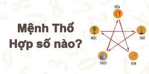 Avt mệnh thổ hợp số nào