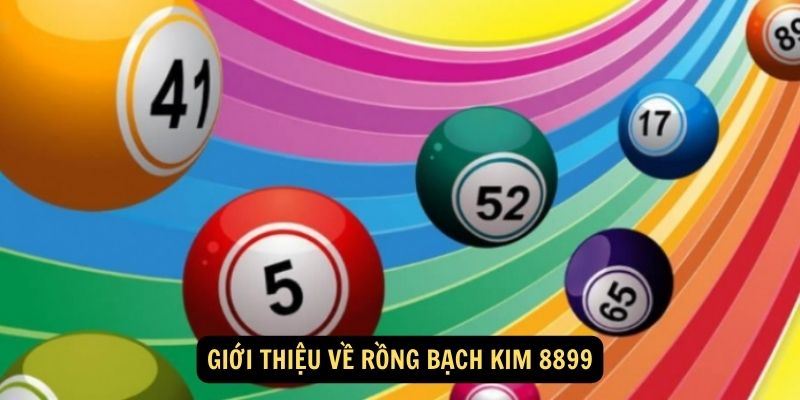 Rồng Bạch Kim 8899 soi cầu xiên 2 và các thông tin cơ bản